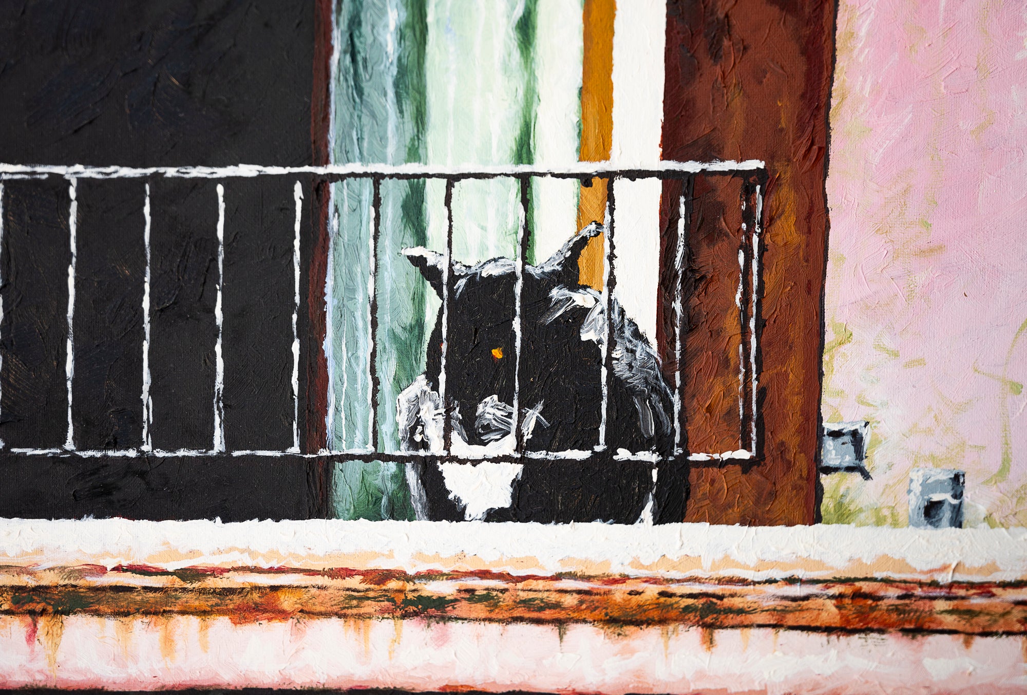 Il Gatto Del Canale