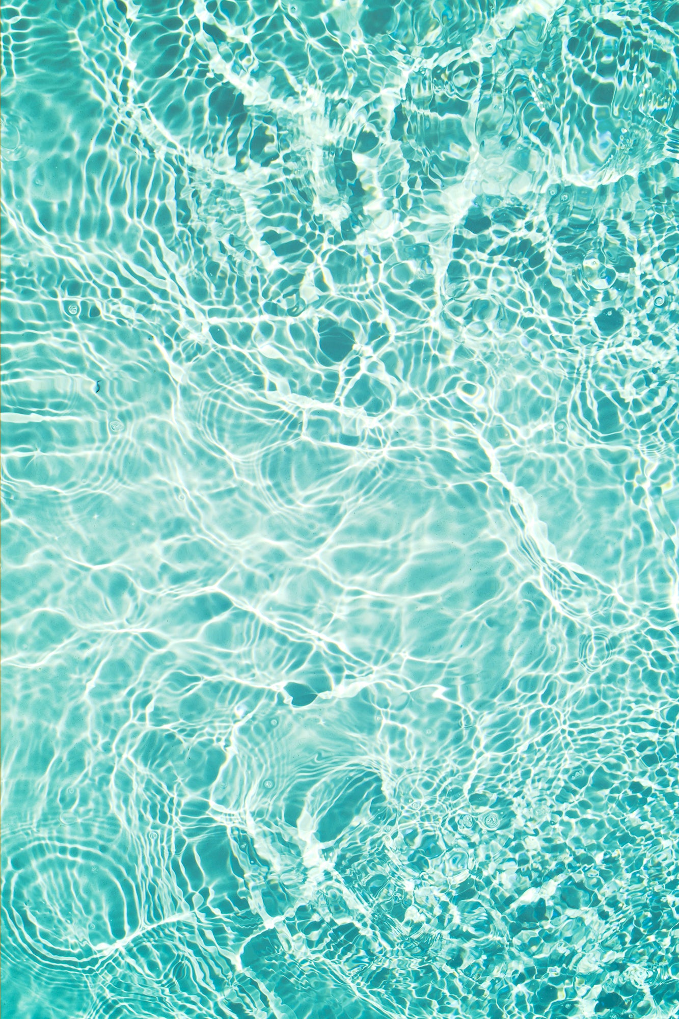 #Print_24x36"_None