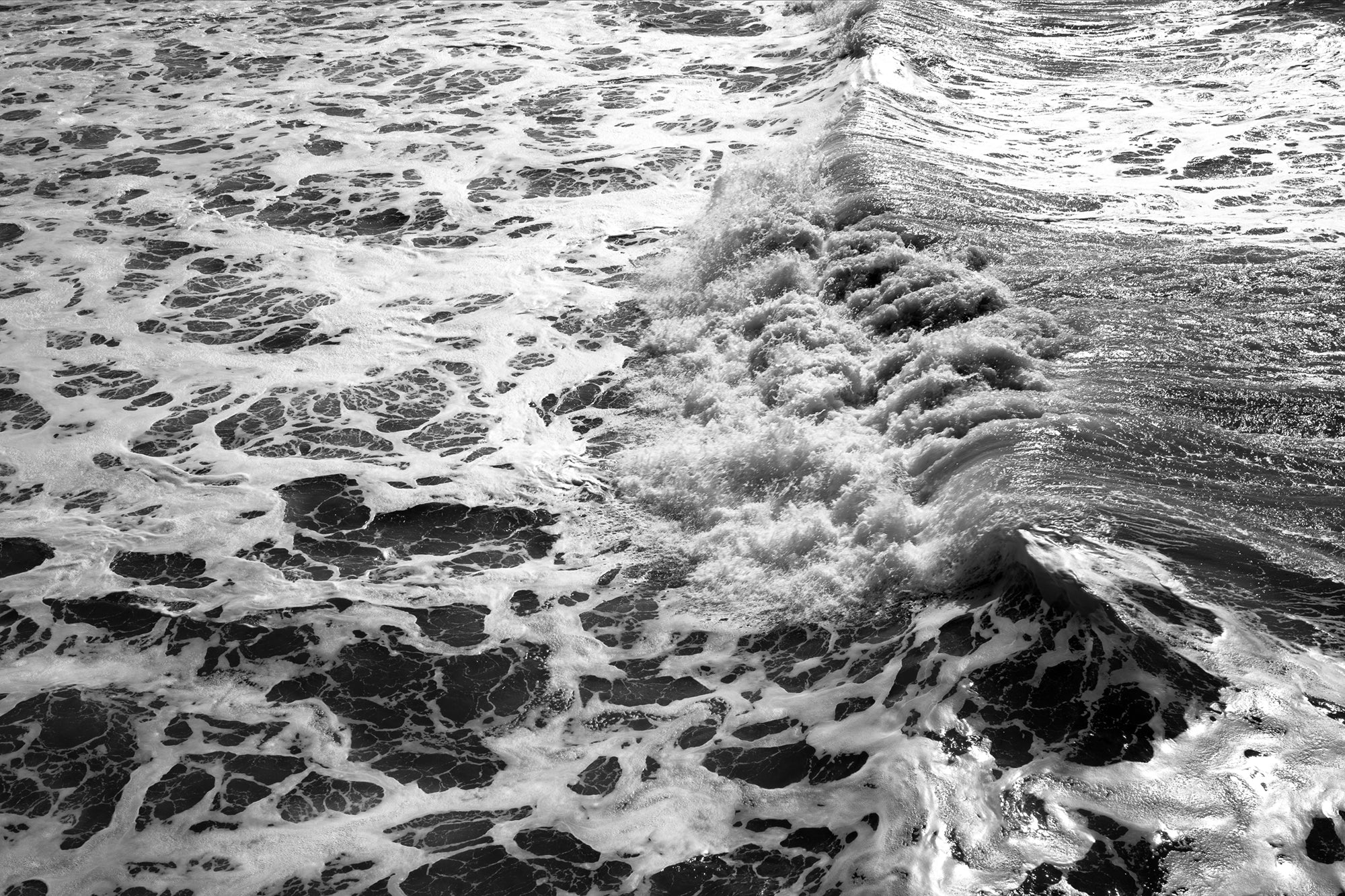 The Wave