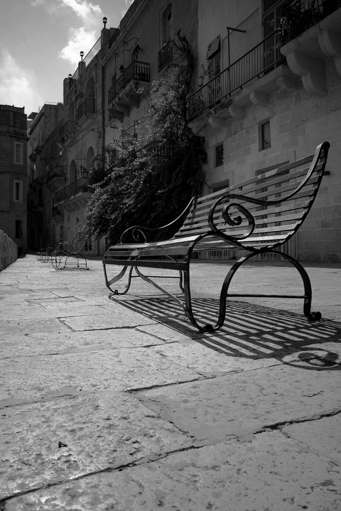 #Print_8x12"_None
